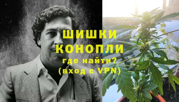 PSILOCYBIN Инсар