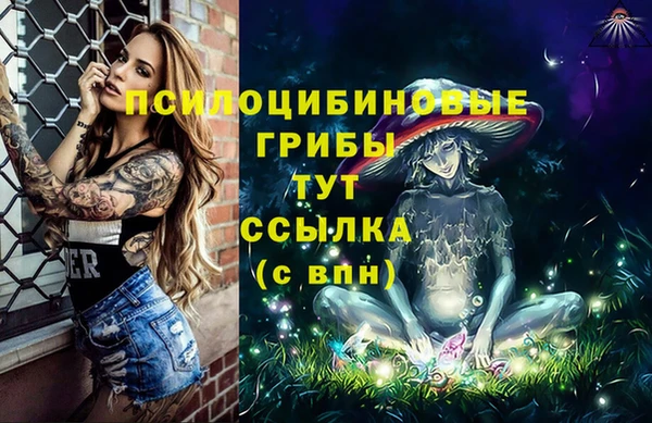 MDMA Premium VHQ Инта