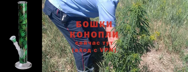 PSILOCYBIN Инсар