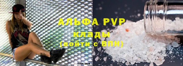 PSILOCYBIN Инсар