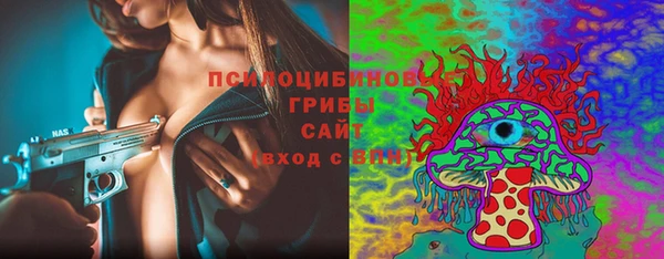 PSILOCYBIN Инсар