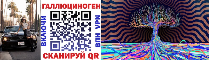 Купить  Любань  Галлюциногенные грибы Cubensis 